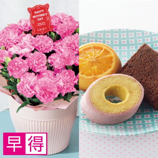 【早得】アサミグリーンプランツ カーネーション「ホットハート」（SUSTEE付）＋神戸スイーツポート 焼き菓子セット【母の日】 商品サムネイル